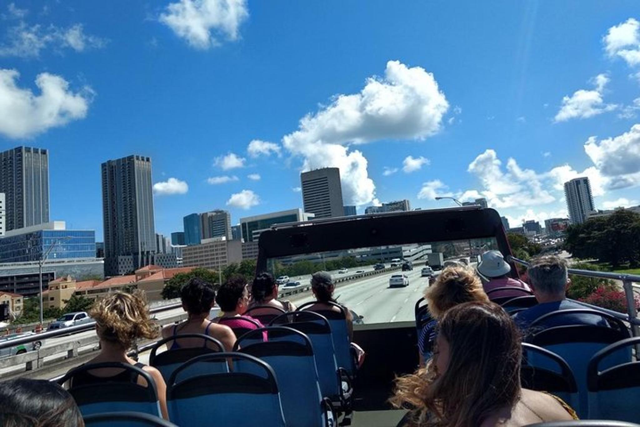 Miami City Tour, Biscayne Bay Cruise & Everglades Airboat - Image 6