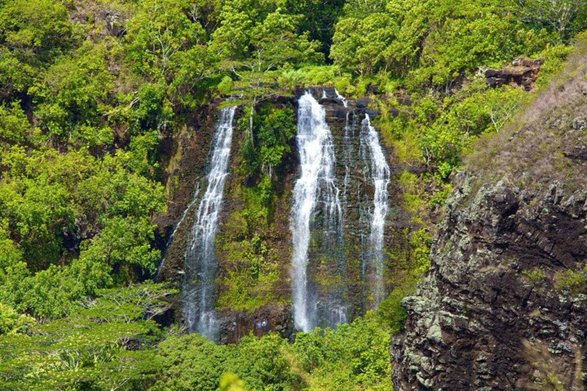 Kauai Fern Grotto River Cruise & Lighthouse Tour - Image 3