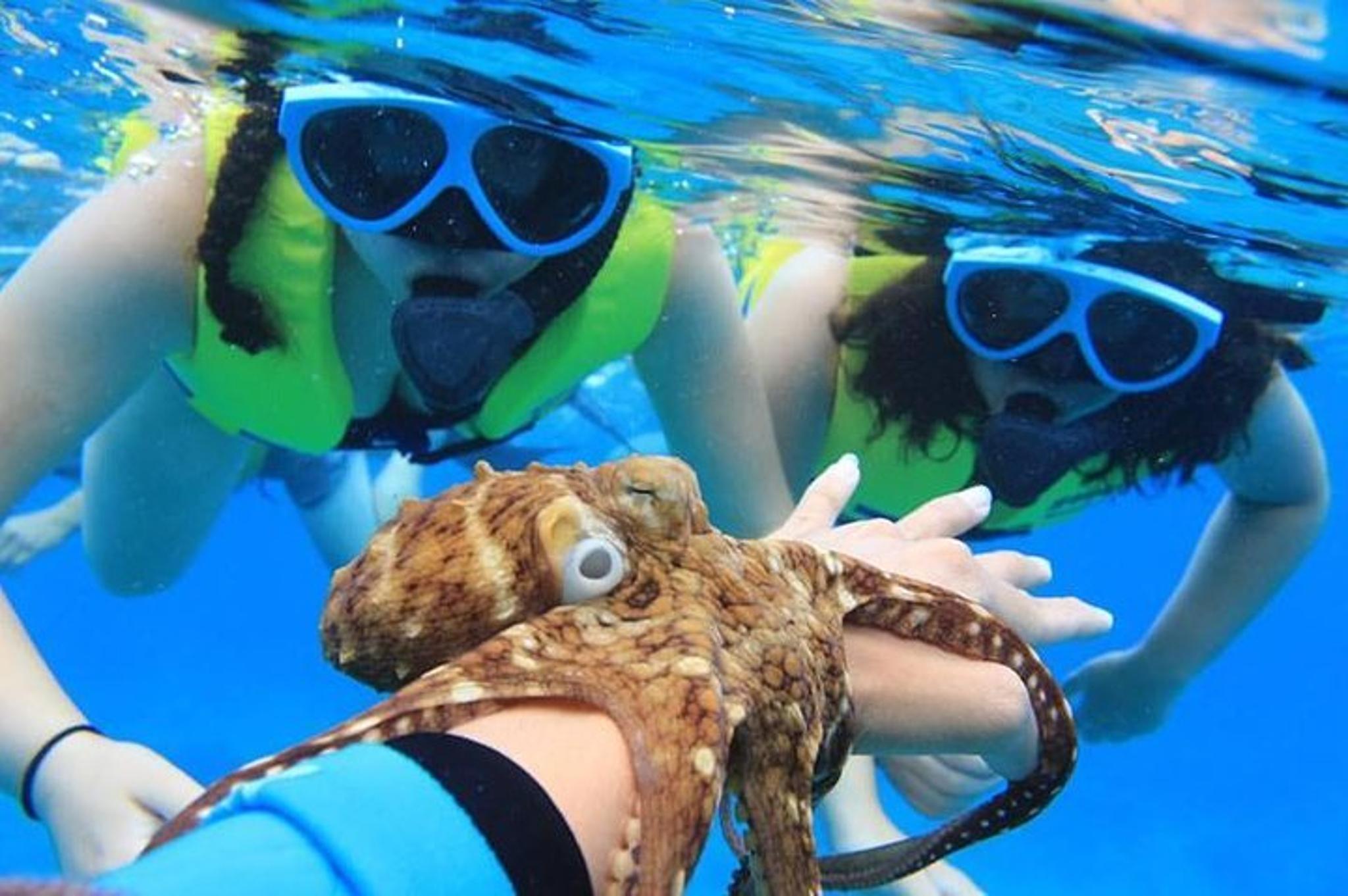 Ko Olina Catamaran Sail and Snorkel with Lunch - Image 5