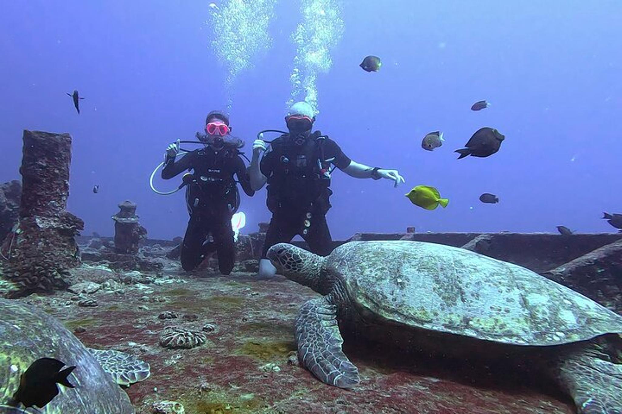 Waikiki Scuba Diving Adventure for Certified Divers - Image 5