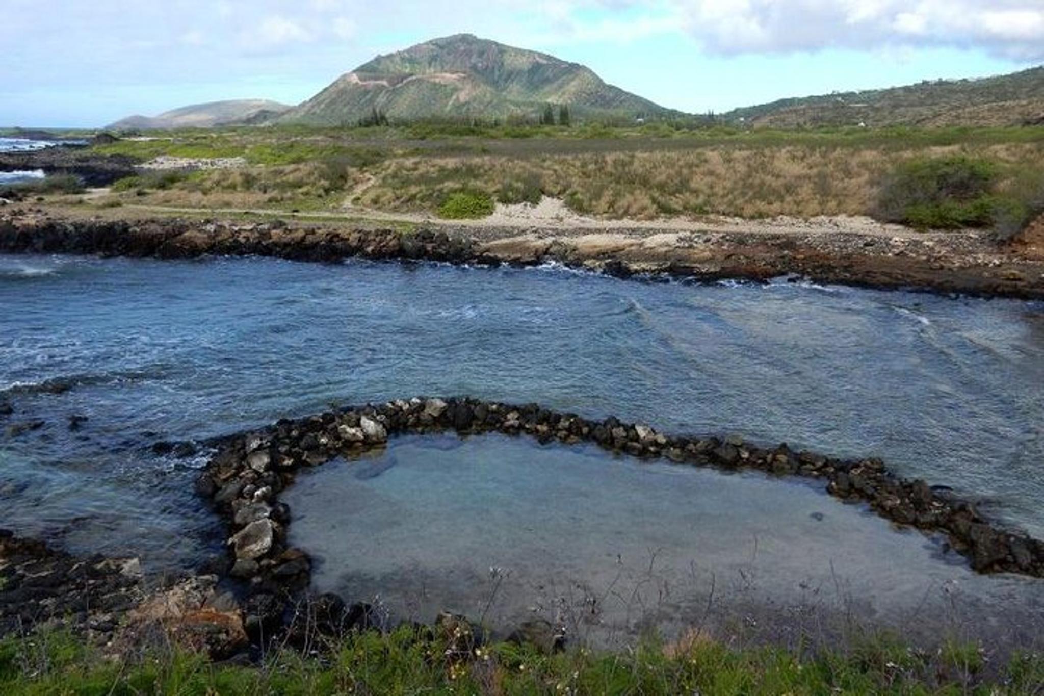 Oahu Culture Tour With a Local Guide - Image 5