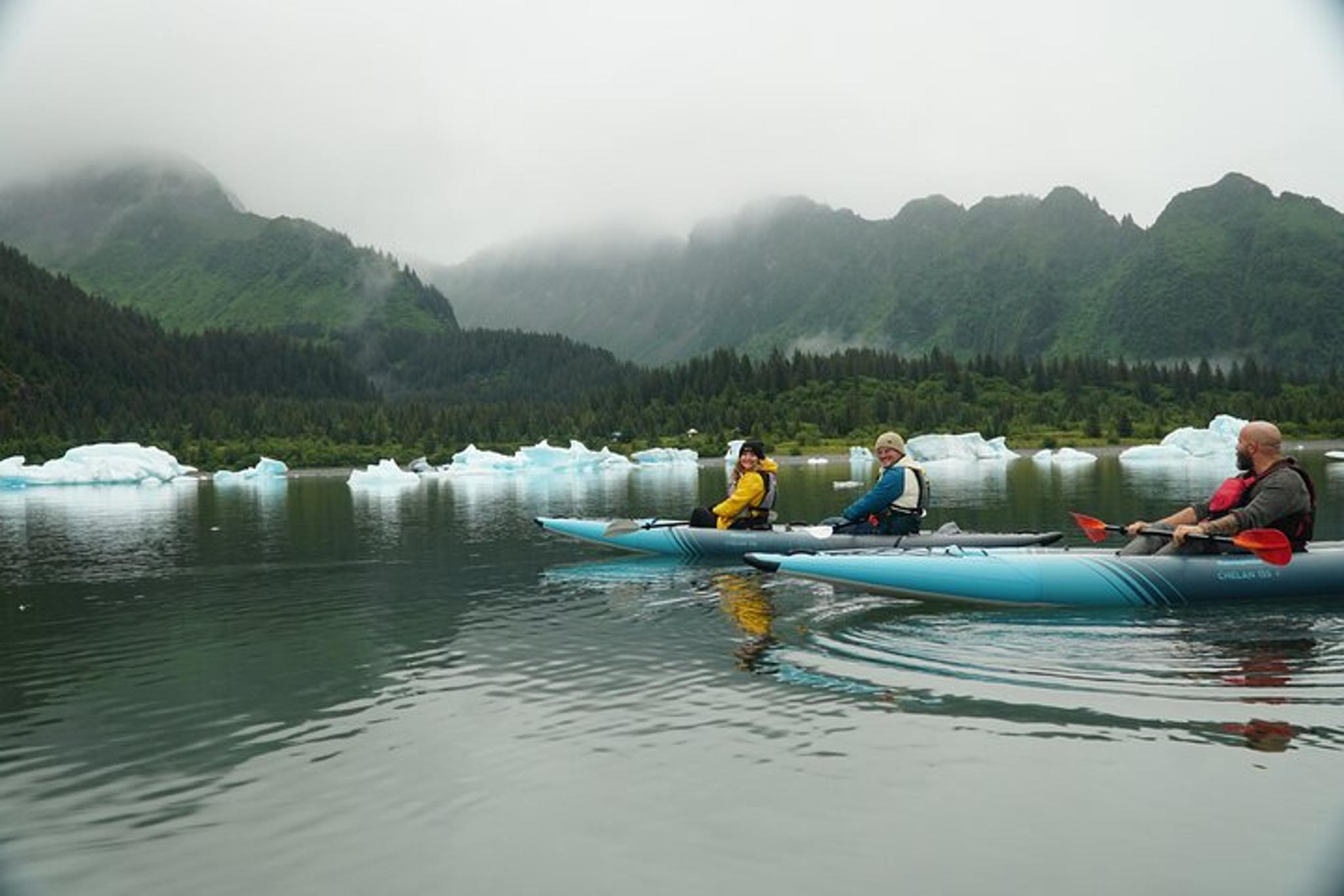 Seward Glacier Flight and Kayak Adventure - Image 2