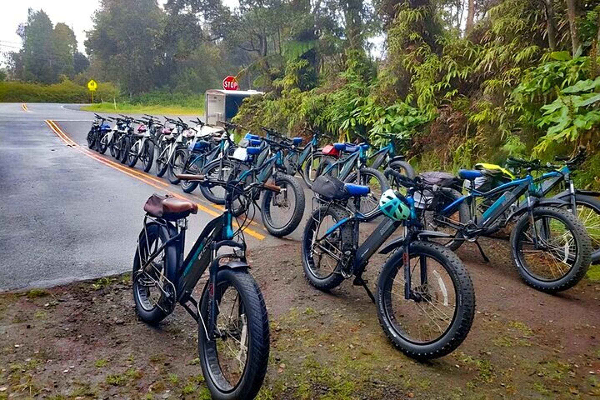 Big Island E-Bike Rental in Volcanoes National Park - Image 4