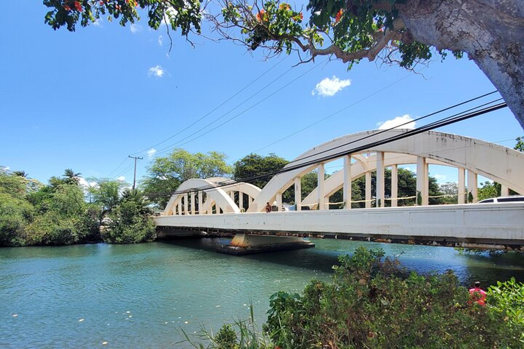 Waikiki to Haleiwa North Shore Shuttle - Image 4