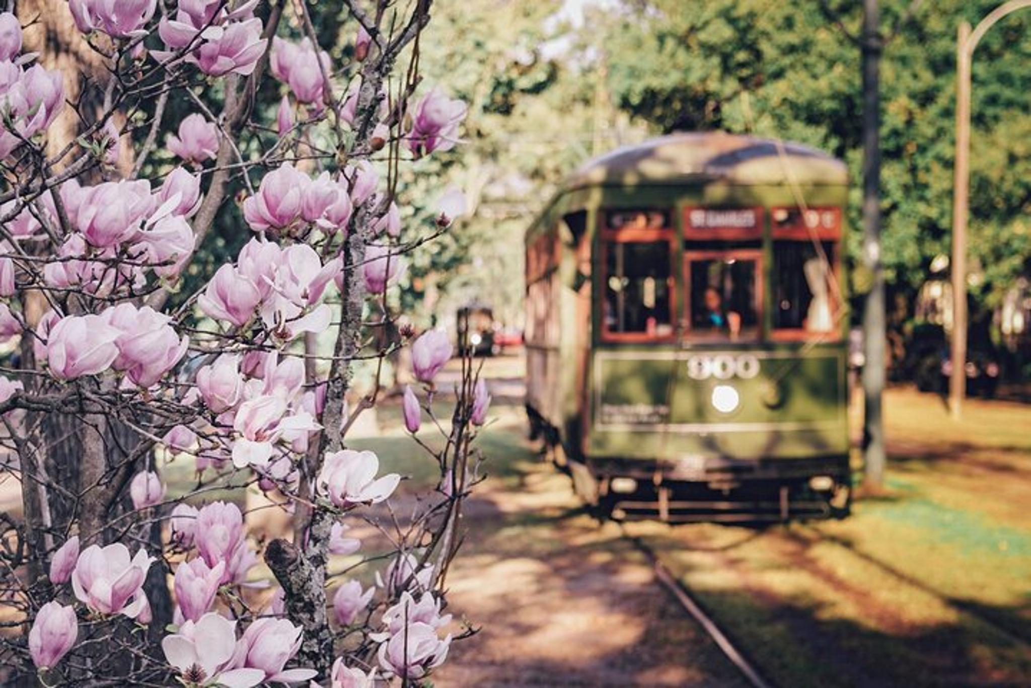 New Orleans Private City Tour - Image 2