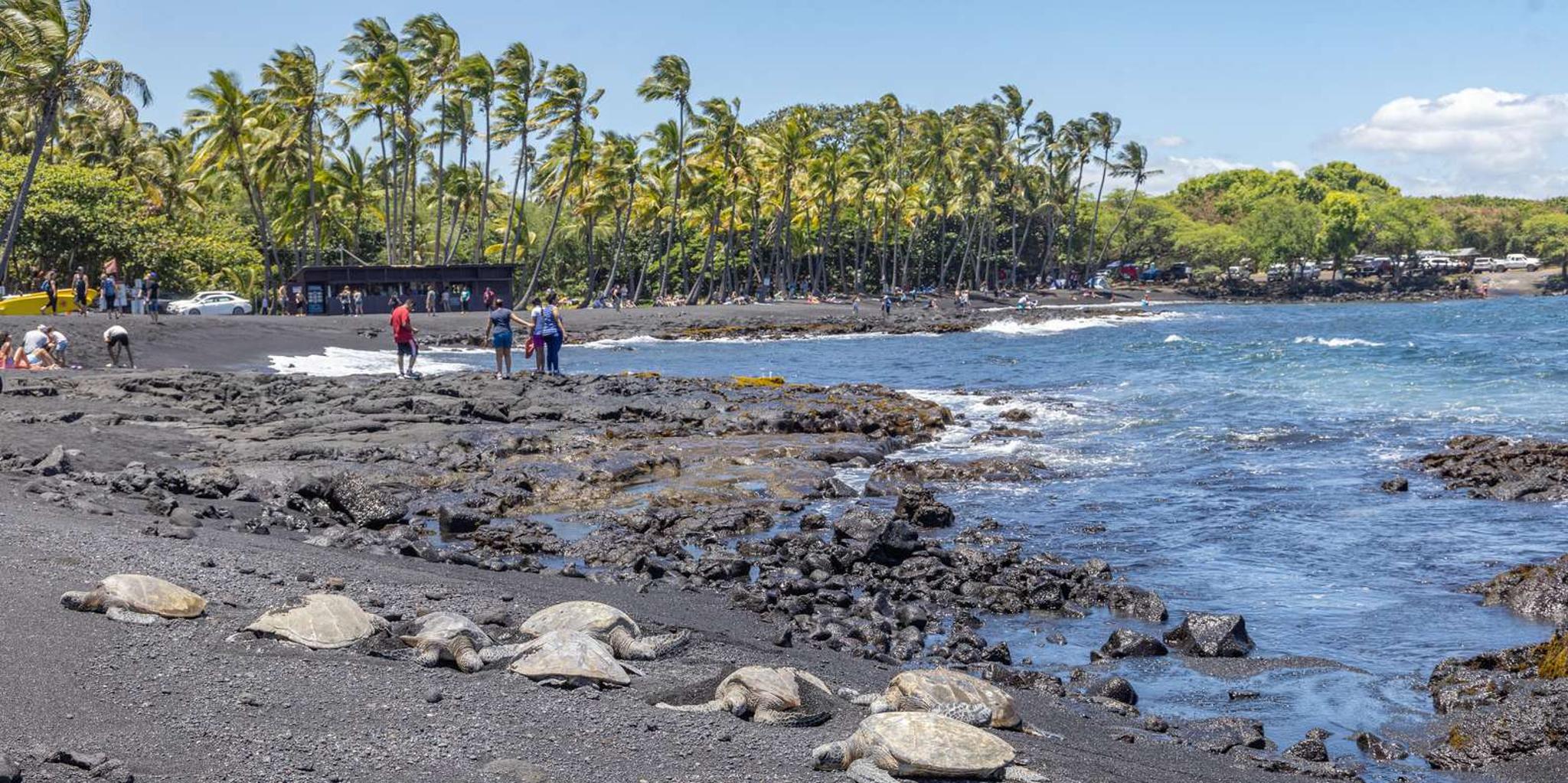 Kailua-Kona Volcanoes and Black-Sand Beach Tour - Image 6