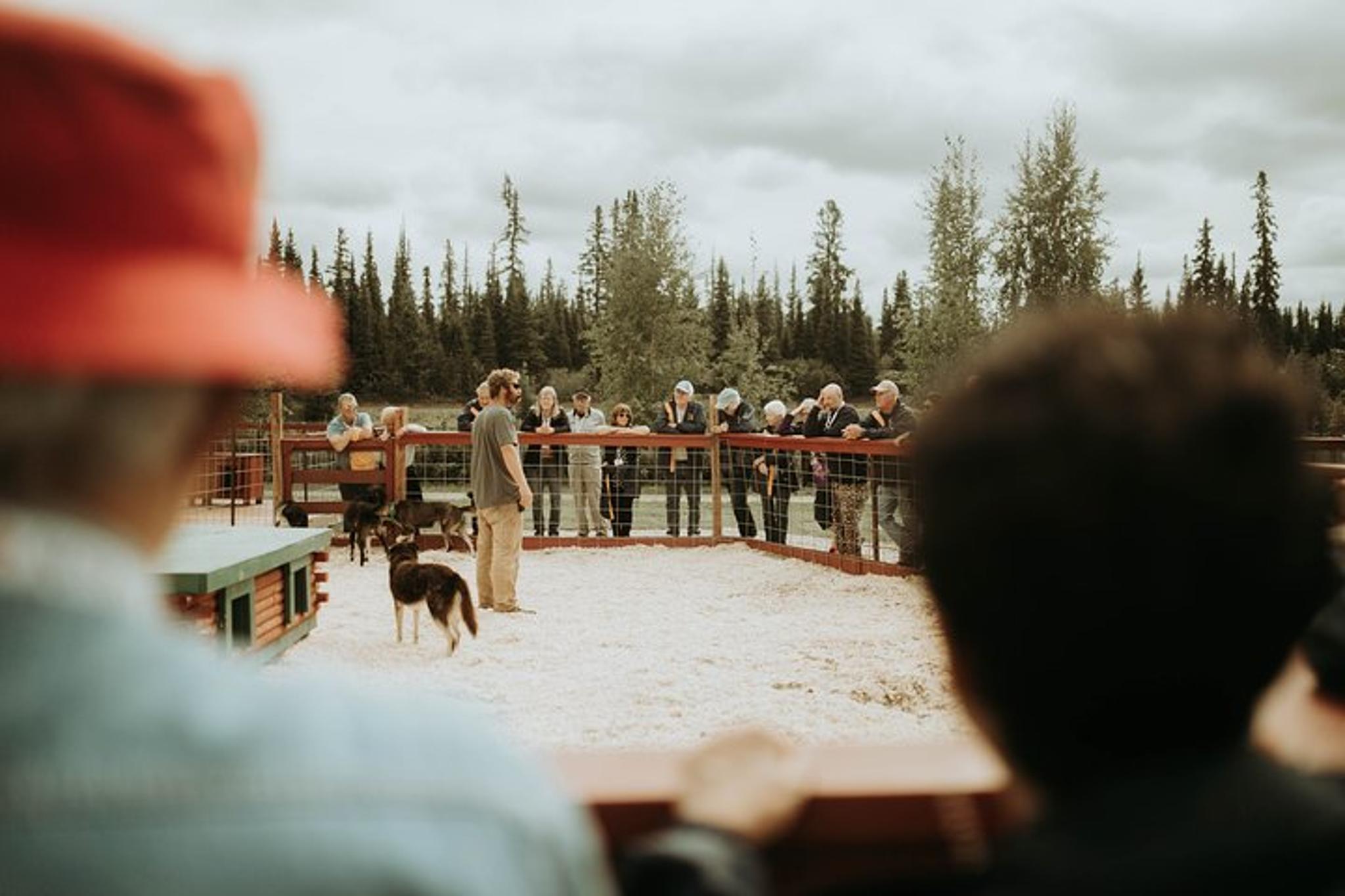 Fairbanks Kennel Visit at Trail Breaker - Image 3