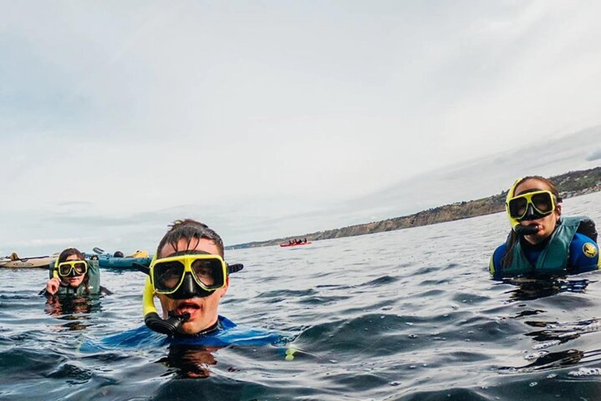La Jolla Kayak and Snorkel Tour for Two - Image 3