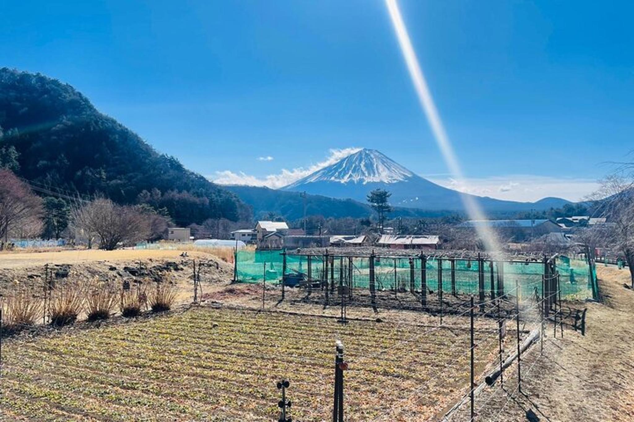 Tokyo Mount Fuji & Hakone Private Tour - Image 1