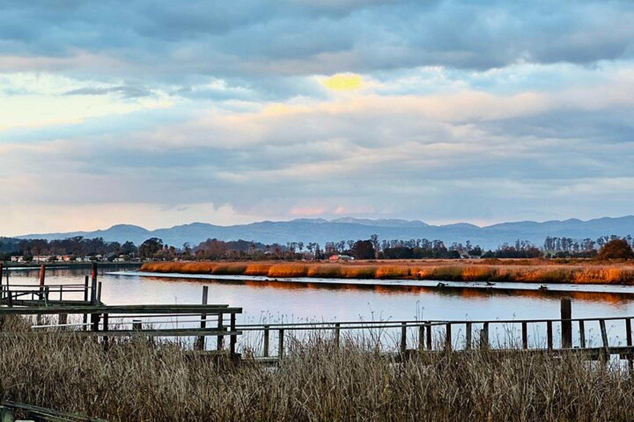 Napa Valley Kayak Tour - Image 5