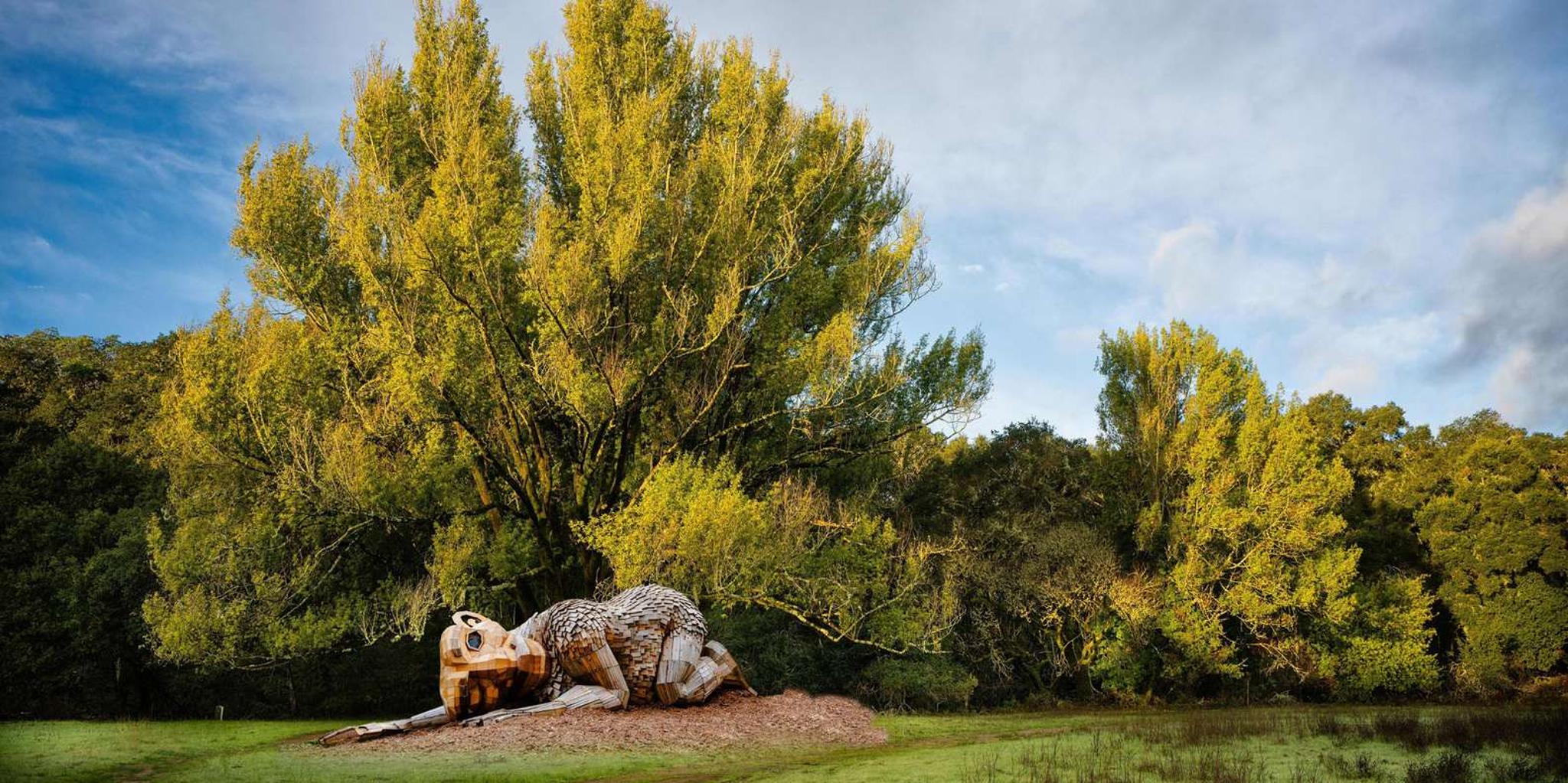 Woodside Filoli Historic House and Garden Tour 1 hr - Image 6