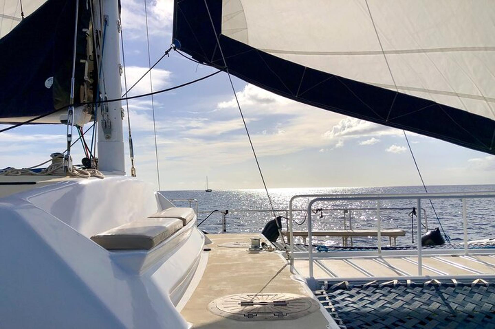Waikiki Swim and Sail Cocktail Cruise - Image 4