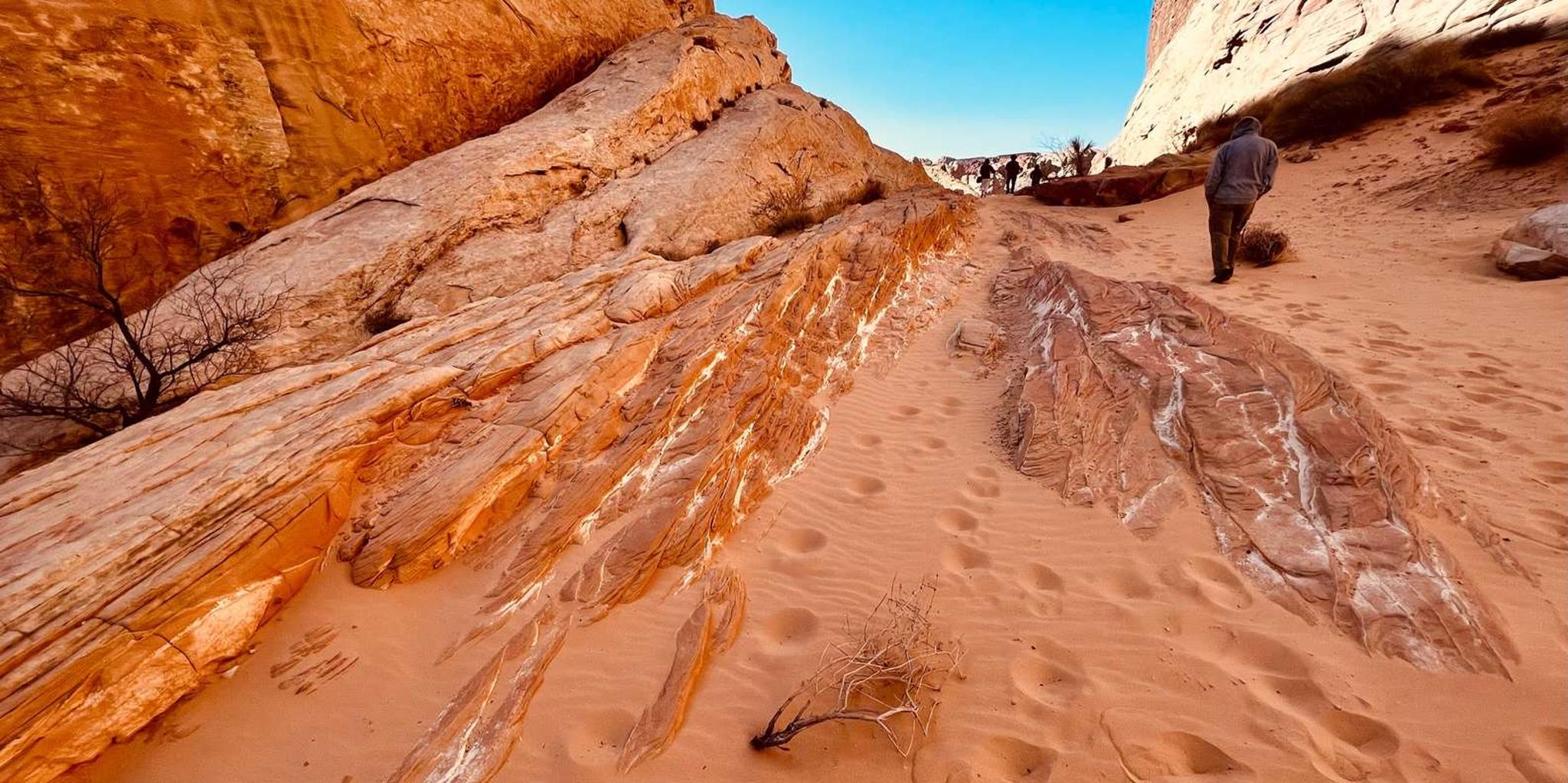 Las Vegas Valley of Fire Small Group Tour - Image 5