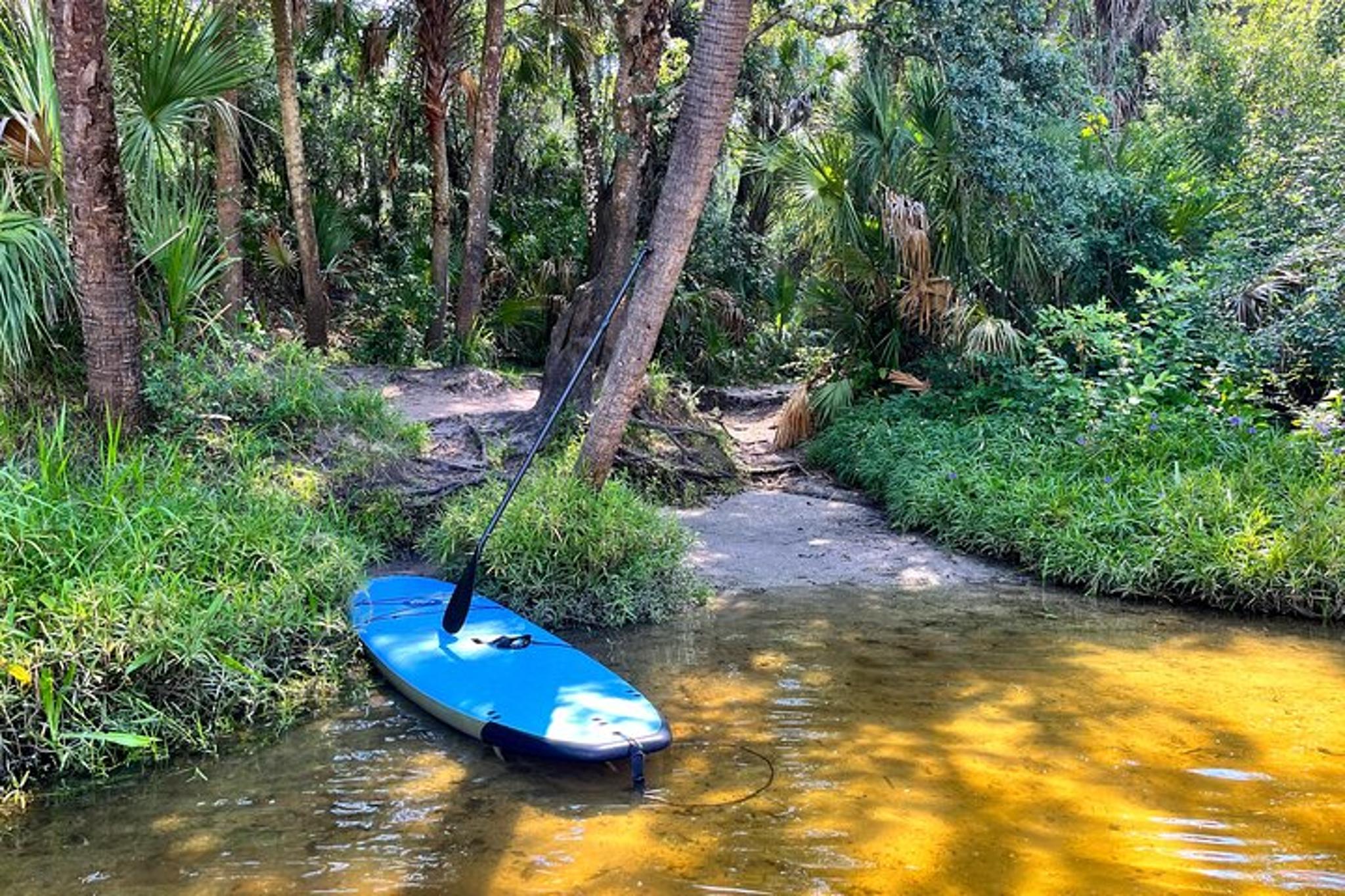 Upper Manatee River Stand Up Paddle Board Tour 2 hr - Image 2