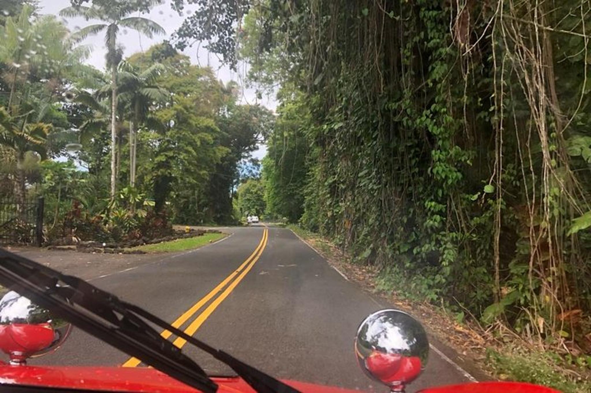 Big Island Buggy Rental in Kailua-Kona - Image 6