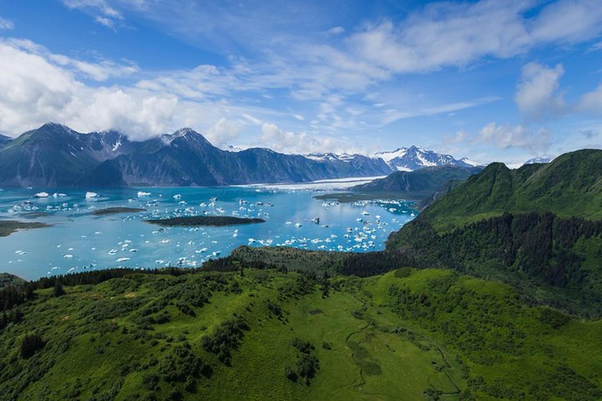 Seward Helicopter Tour of Bear Glacier 30 min - Image 4