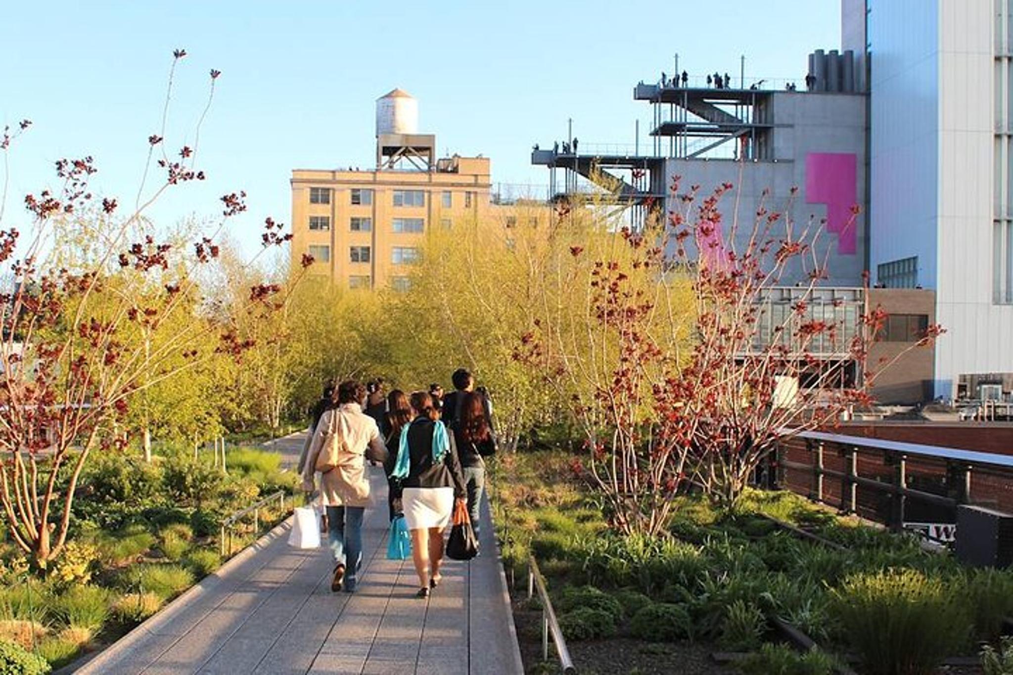 New York City Walking Tour of High Line, Hudson River, and Chelsea - Image 6