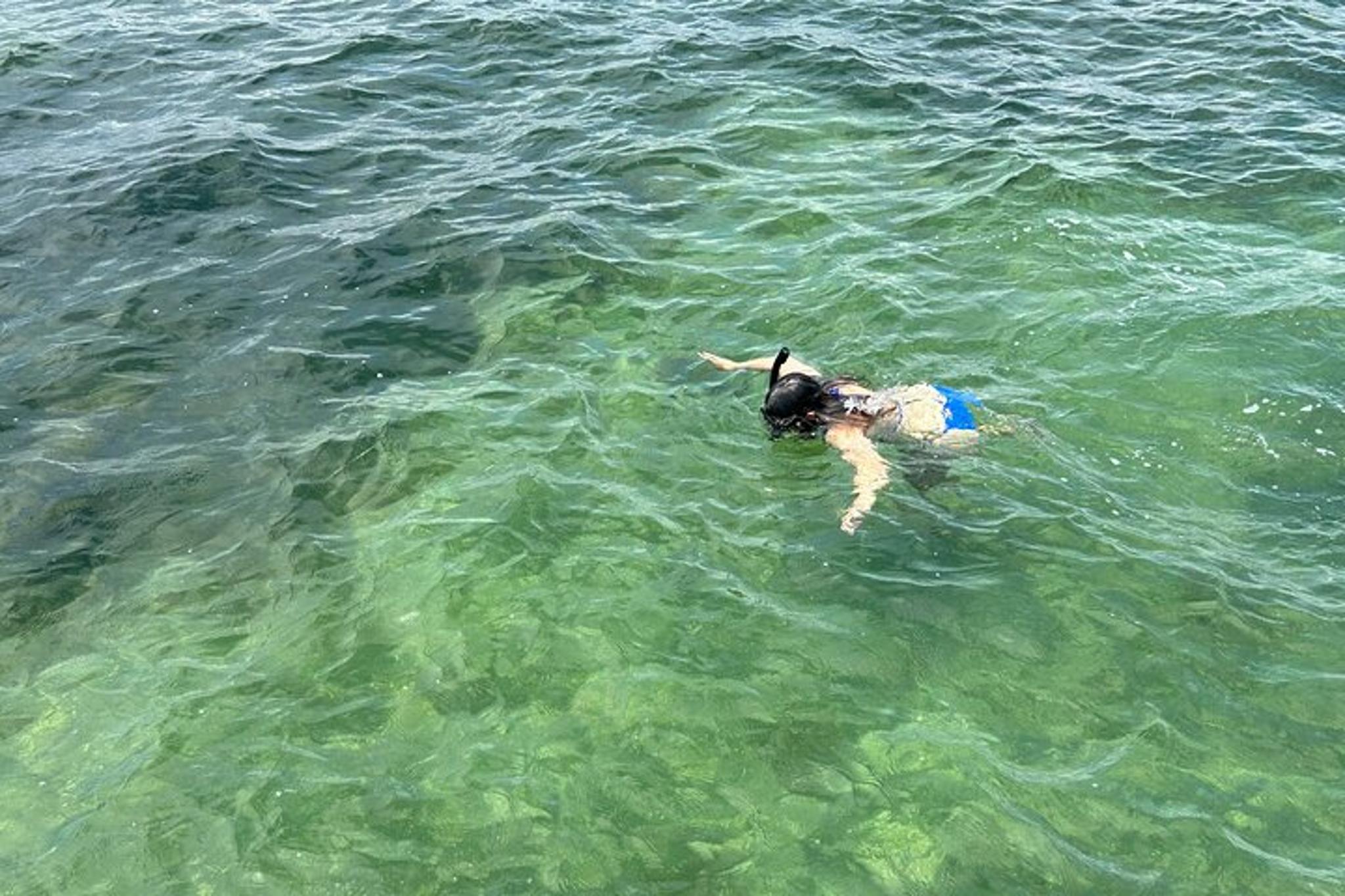 South Padre Island Snorkeling Excursion - Image 3