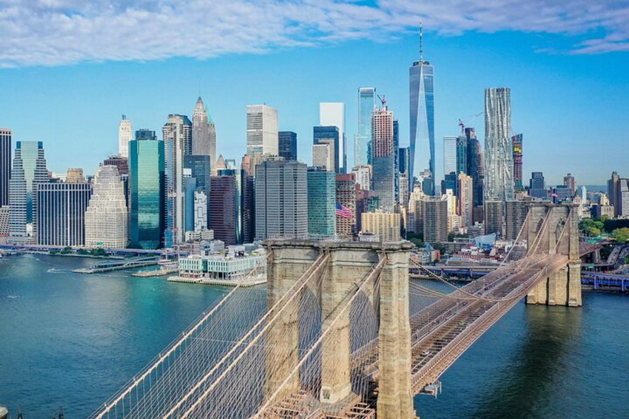 New York City Bus and Walking Tour - Image 2