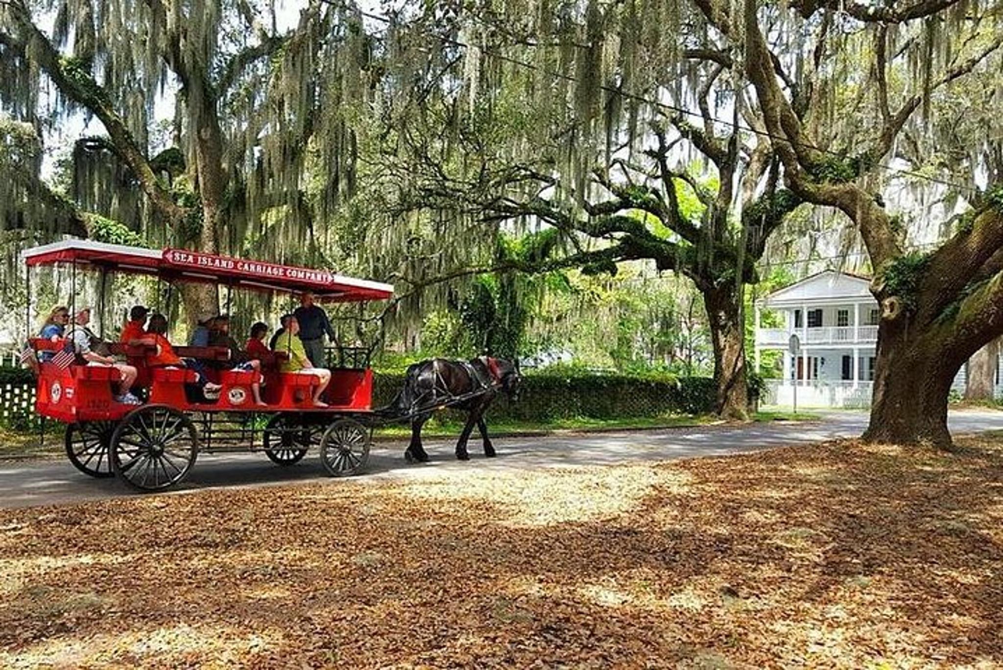 Beaufort Horse & Carriage History Tour - Image 3