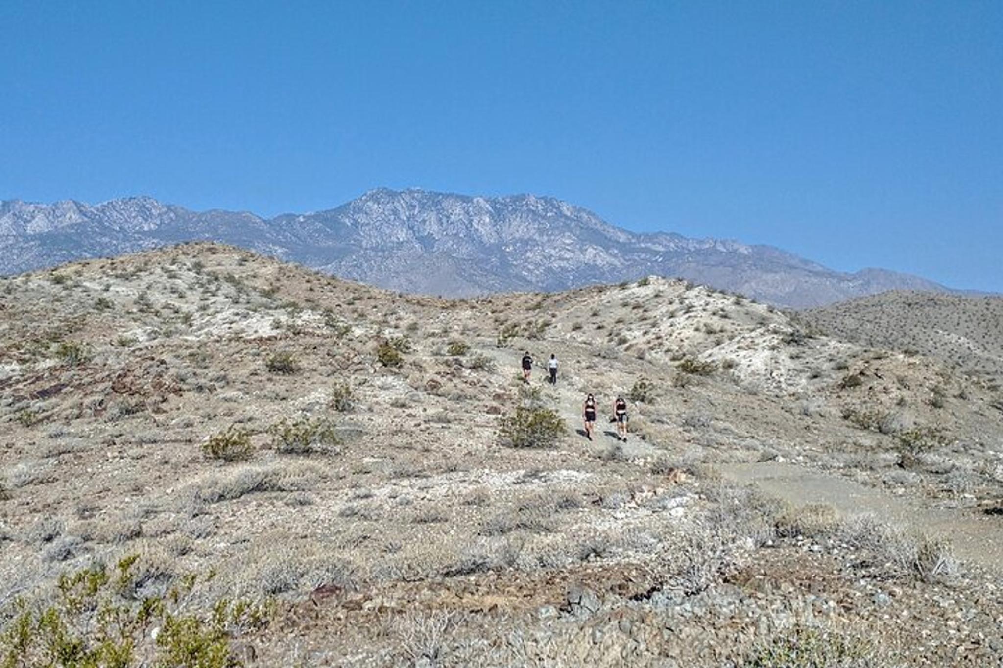 Palm Springs Oasis Hike and Desert Views - Image 3