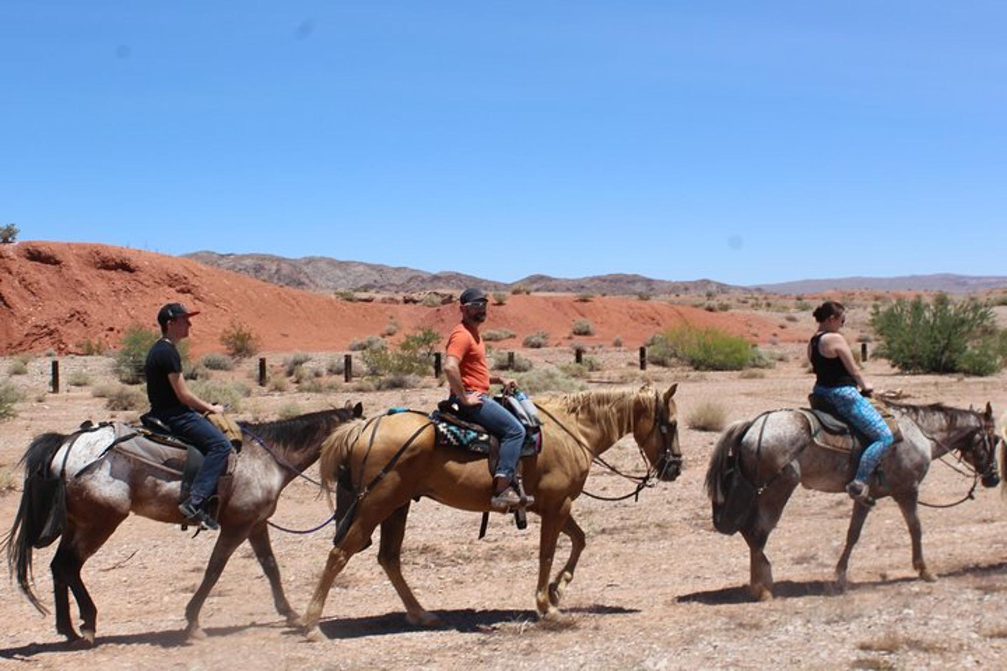 Las Vegas Horseback Ride 75 Min - Image 5