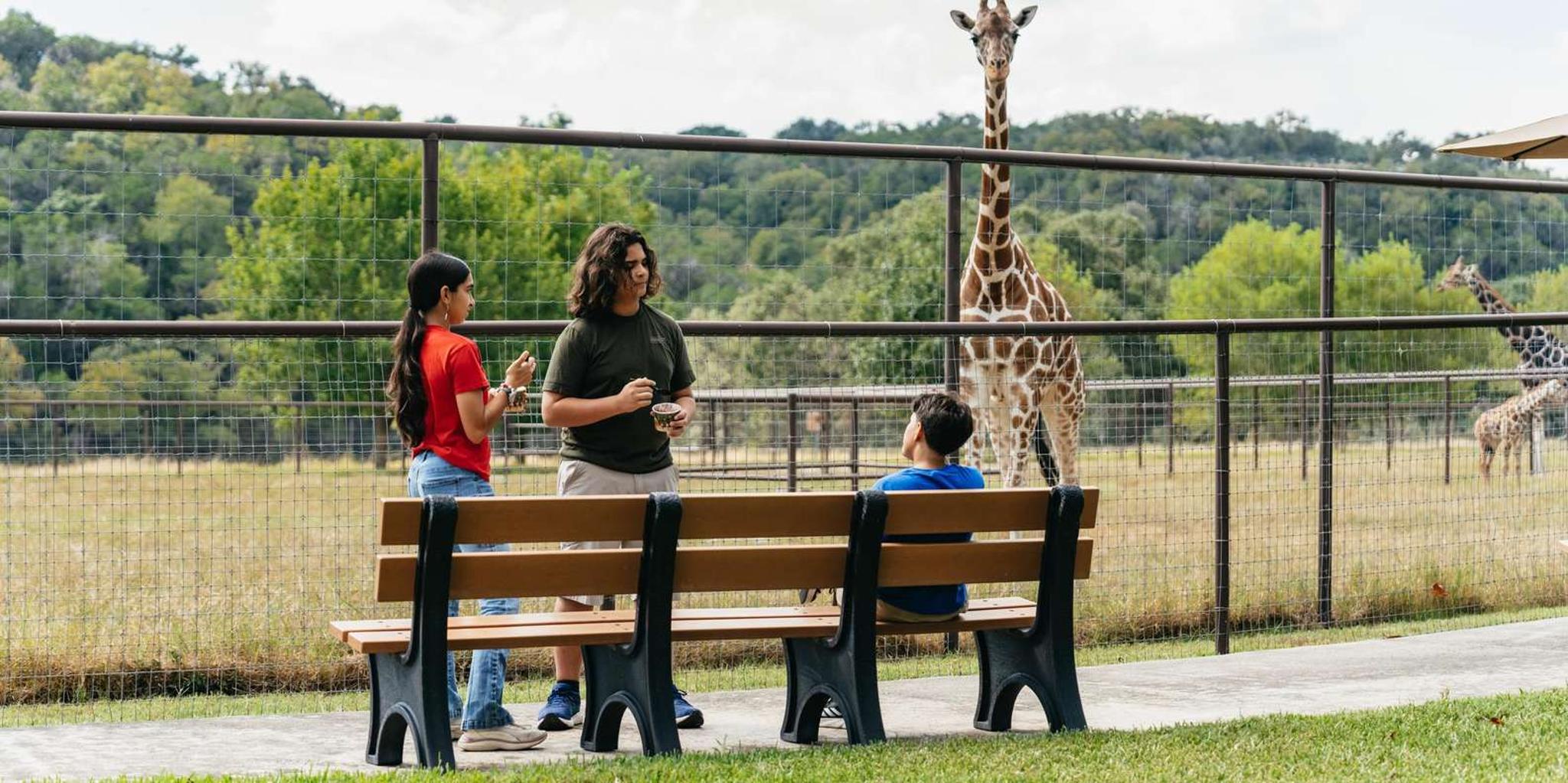 San Antonio Wildlife Safari Drive-Thru - Image 3