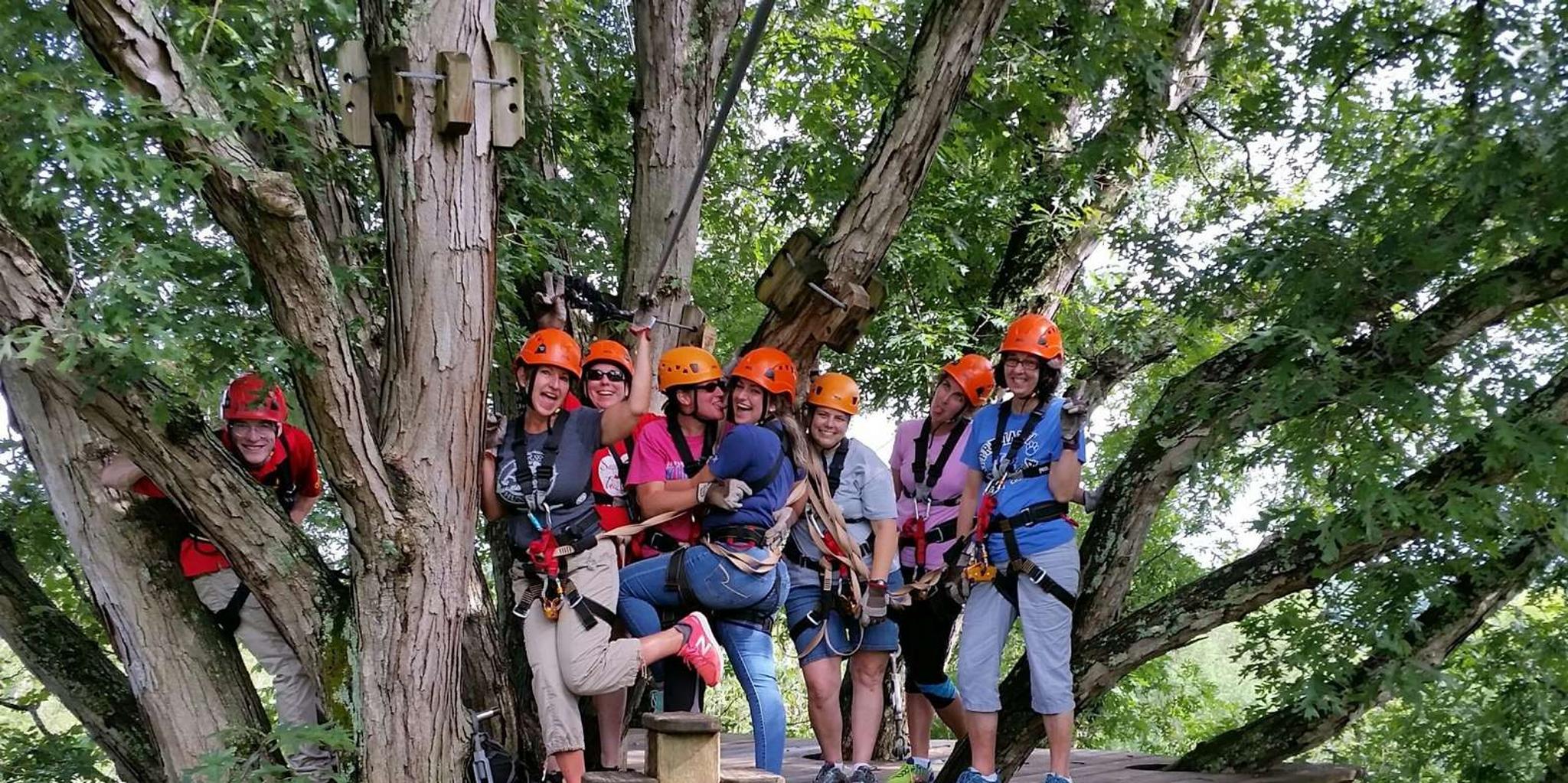 Lexington Zipline Canopy Tour - Image 3