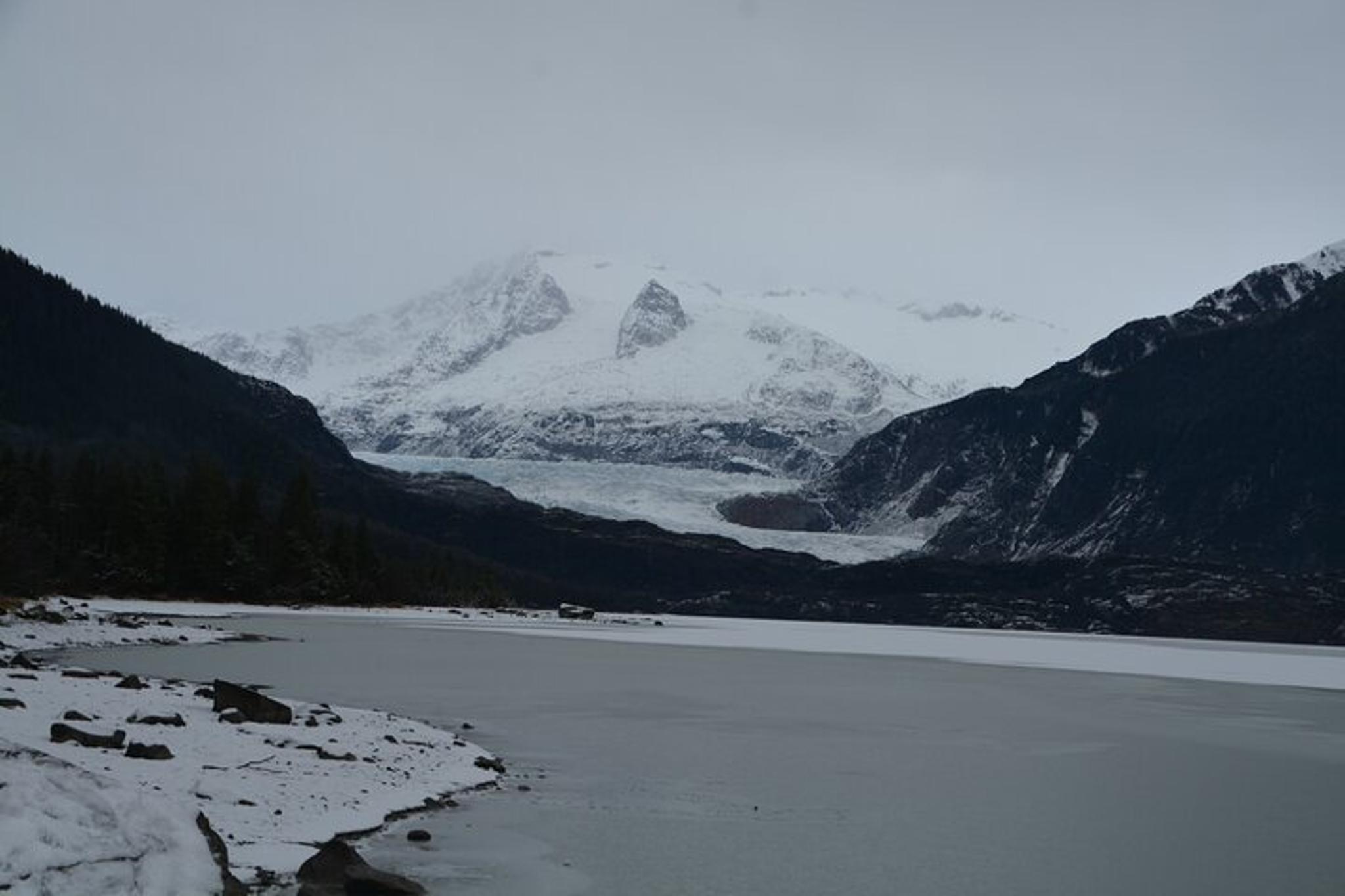 Juneau Mendenhall Glacier and Whale Watching Tour - Image 6