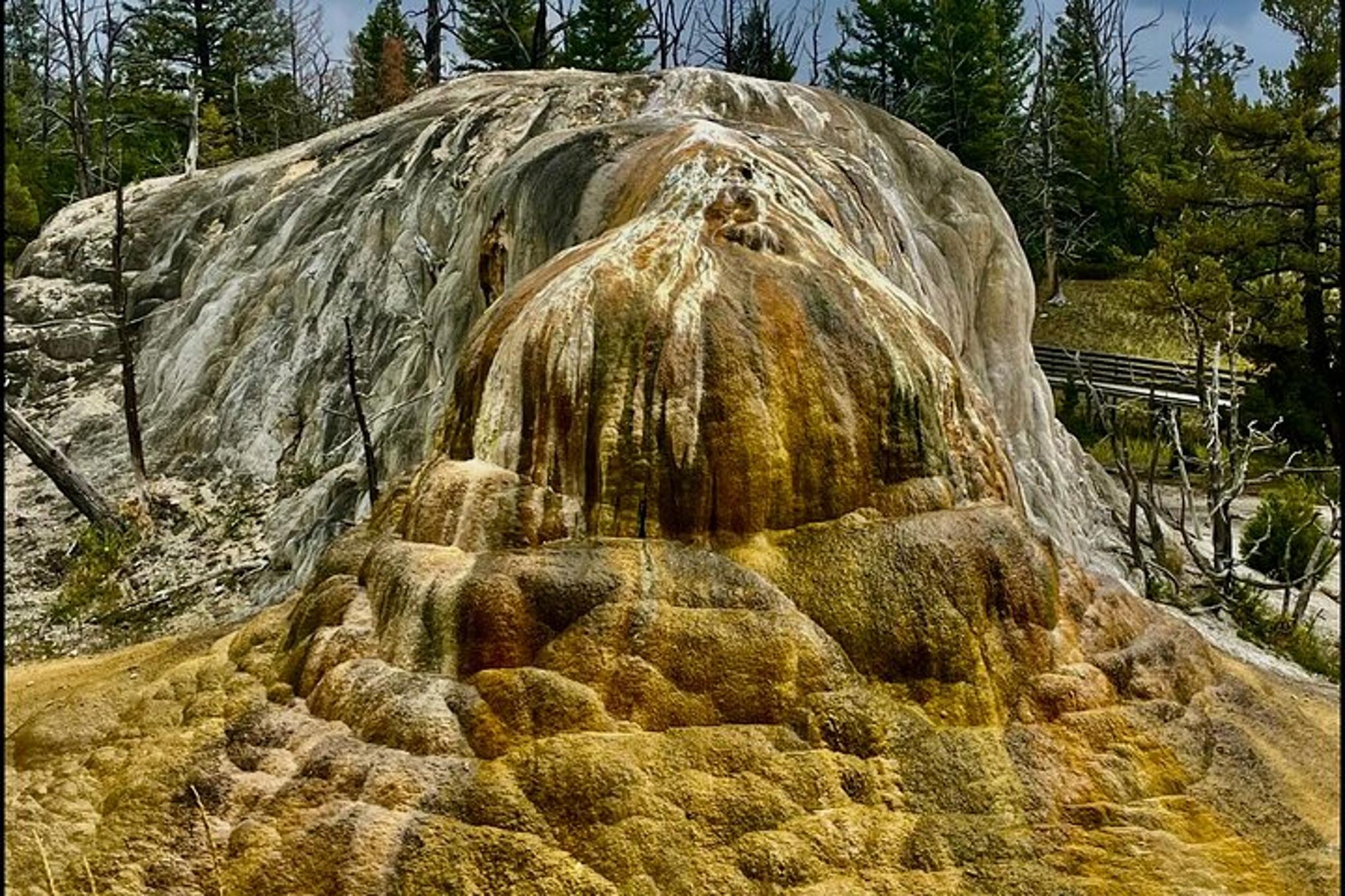Cody Yellowstone Wildlife and Photo Tour Upper Loop