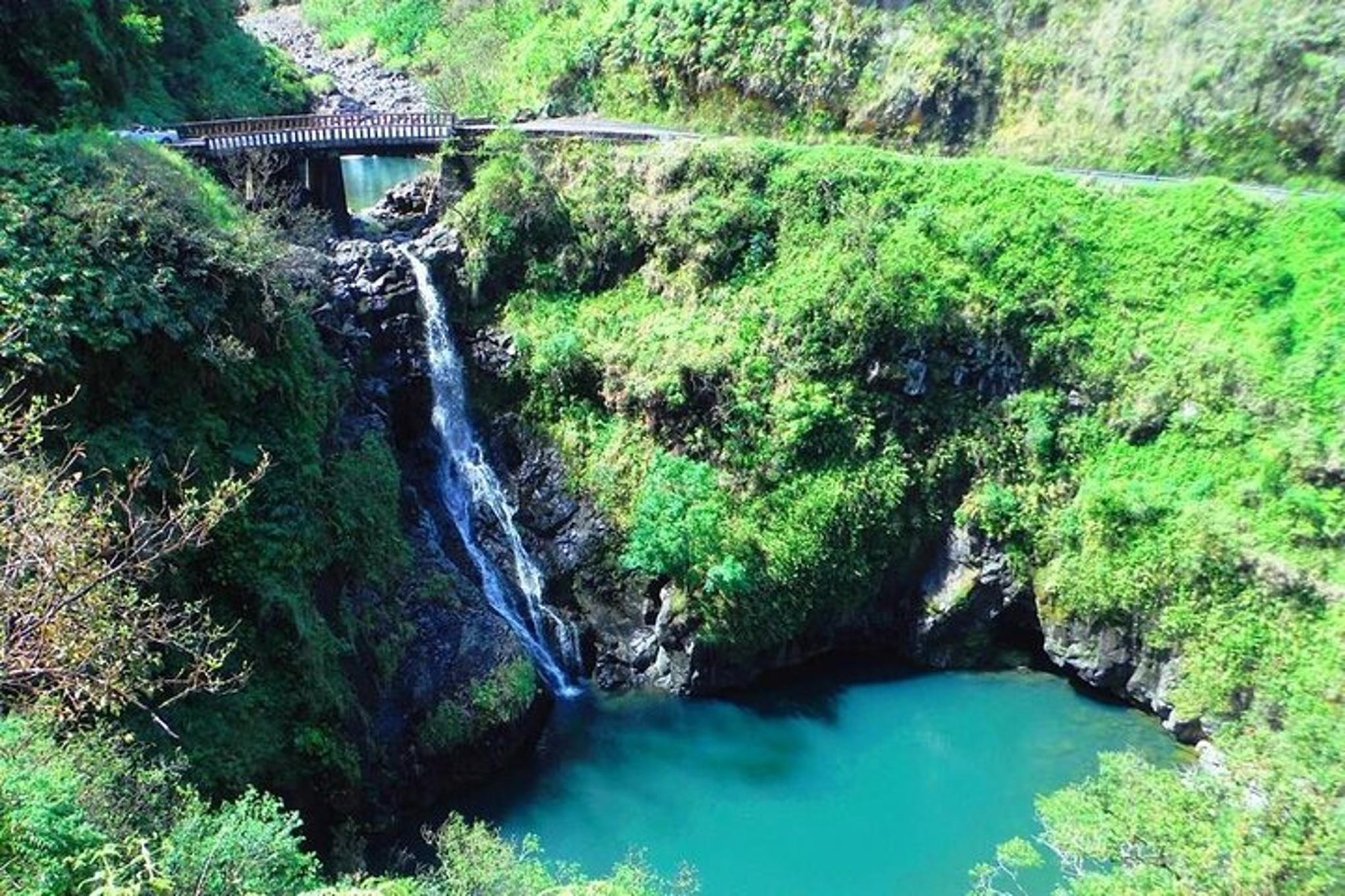Maui Jungle Tour with Lahaina Pickup - Image 3