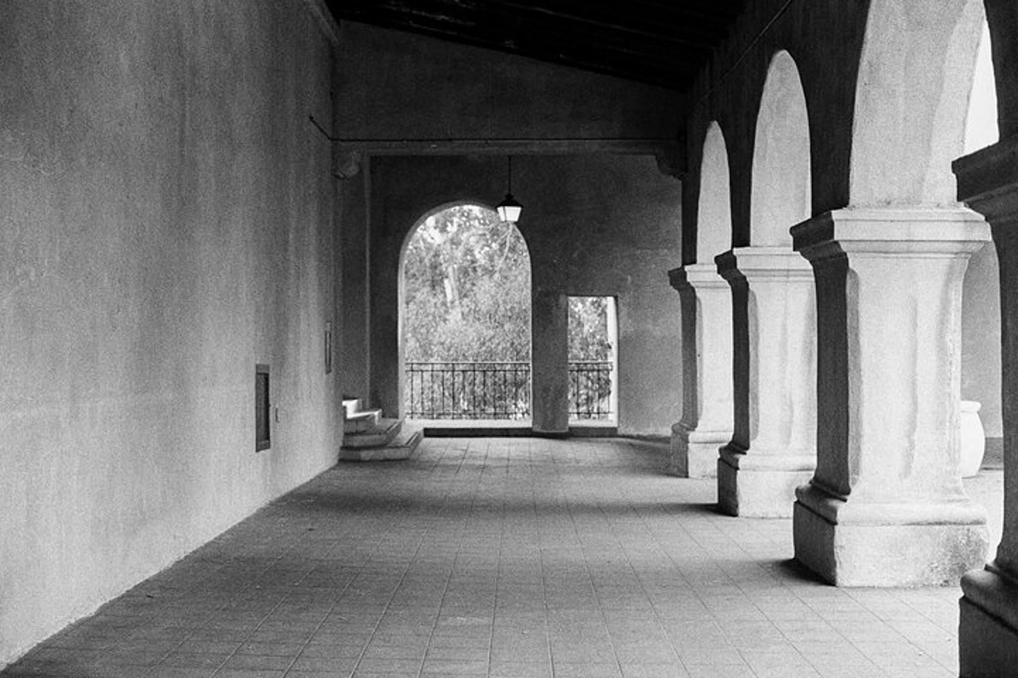 San Diego Photography Session at Balboa Park 1 hr - Image 3