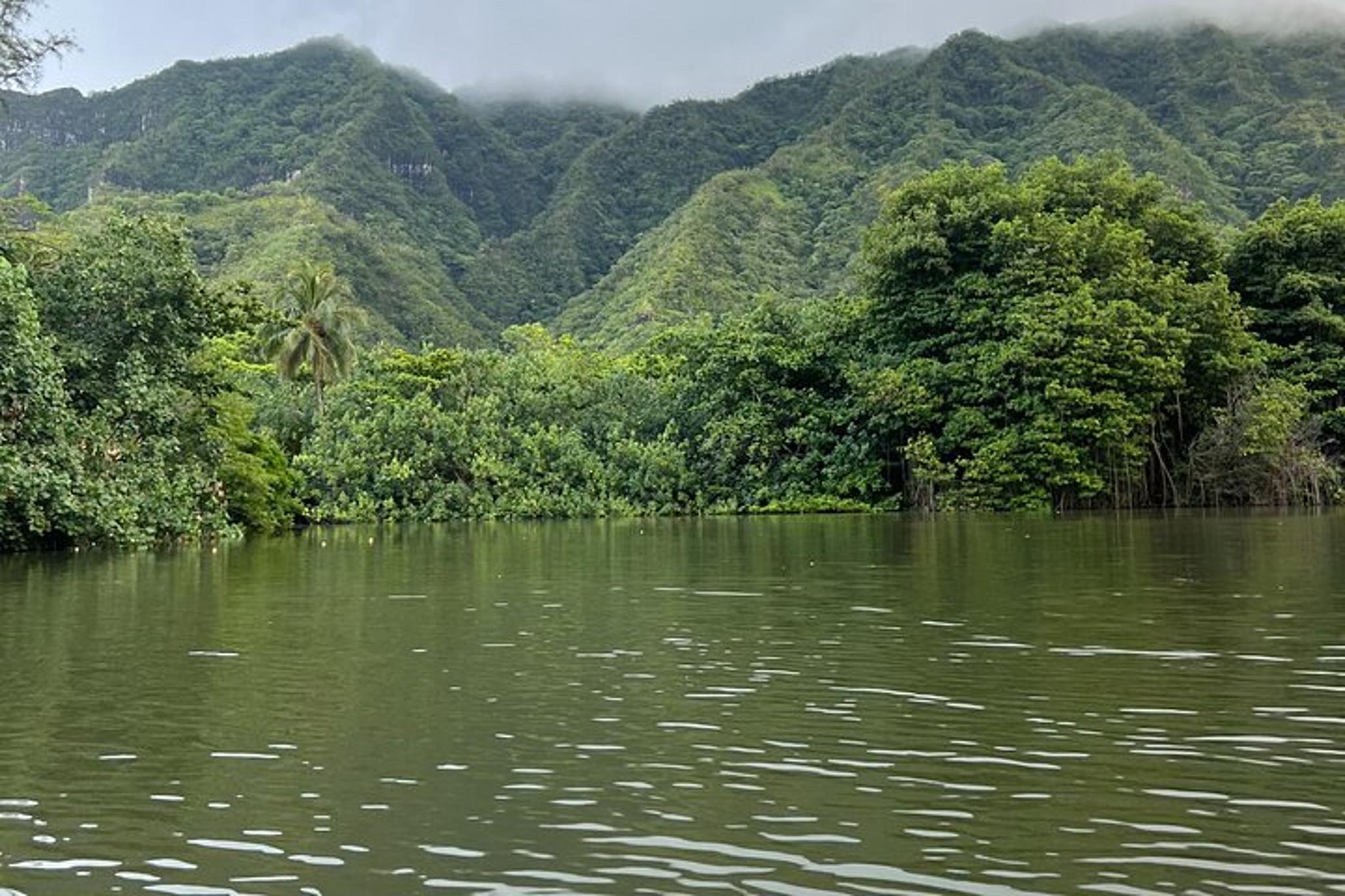 Oahu Kayaking Tour on Kahana River - Image 1