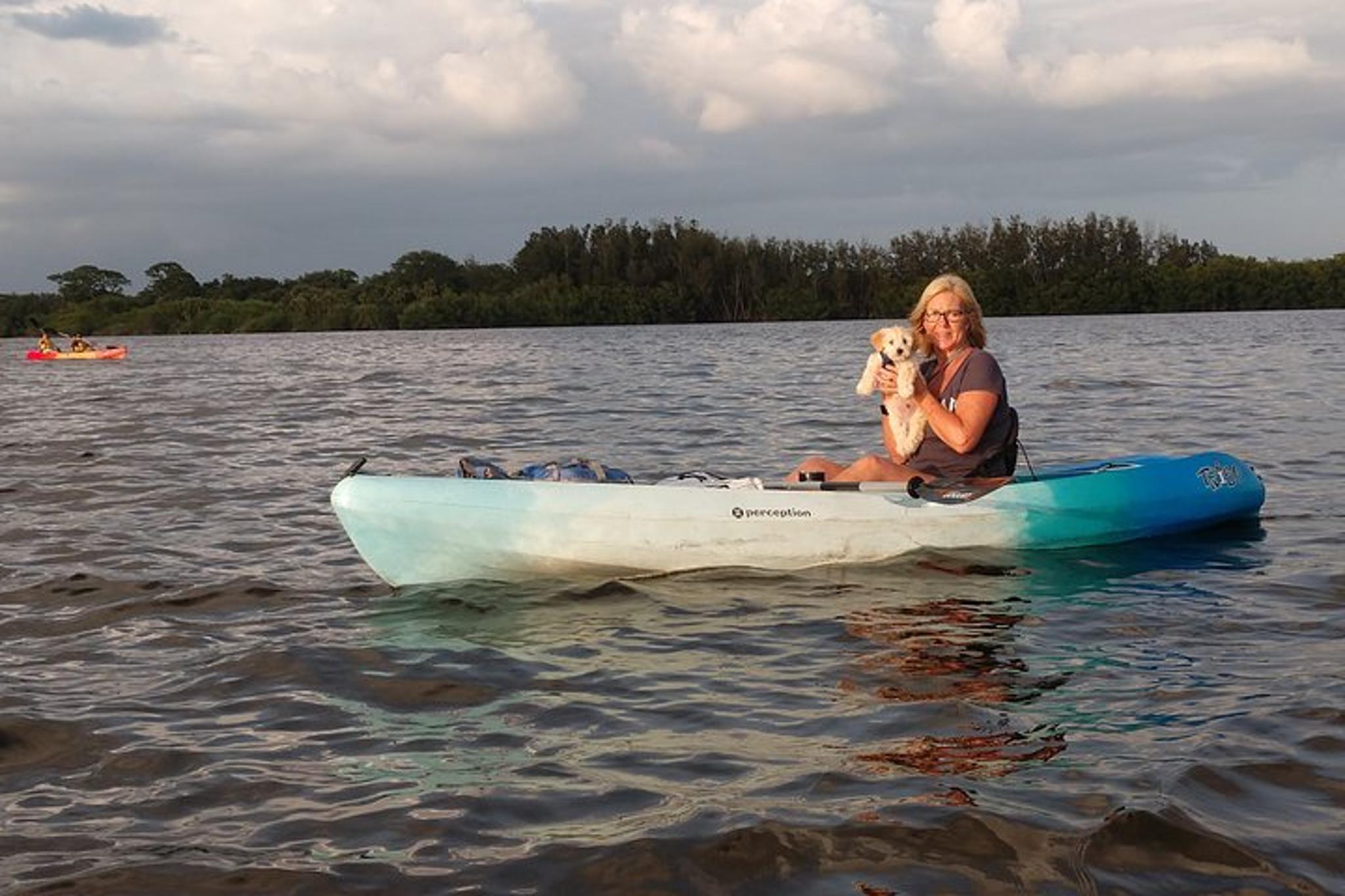 Indian River Kayak Rental with Manatee & Dolphin Sightings 2 hr - Image 5