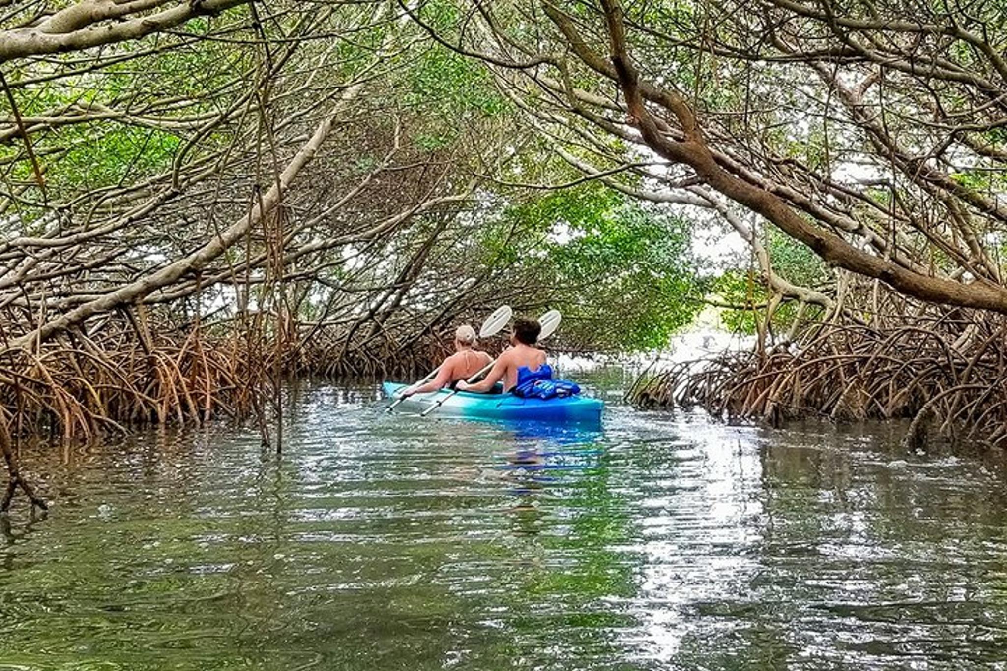 St. Petersburg Kayak Adventure at Shell Key - Image 6