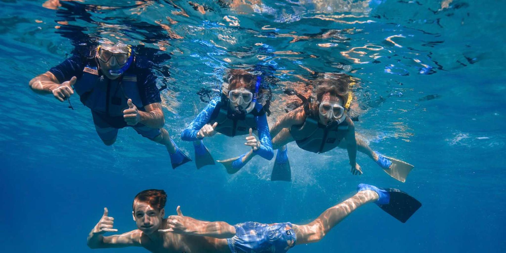 Maui Snorkel and Kayak Tour at Turtle Town - Image 3