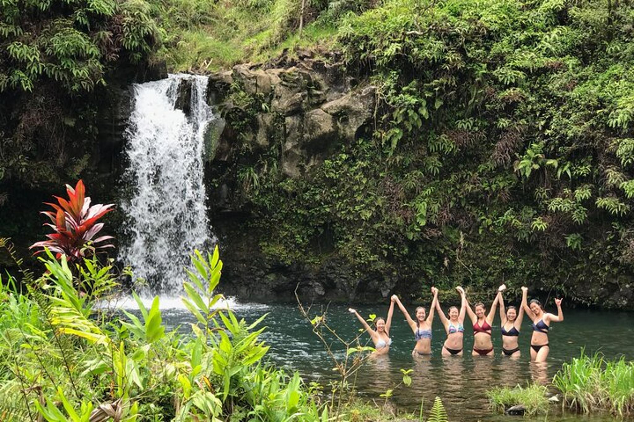 Maui Road to Hana Private Adventure - Image 4