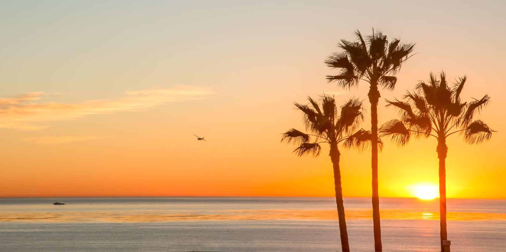 San Diego Brewery Tour at Sunset - Image 2