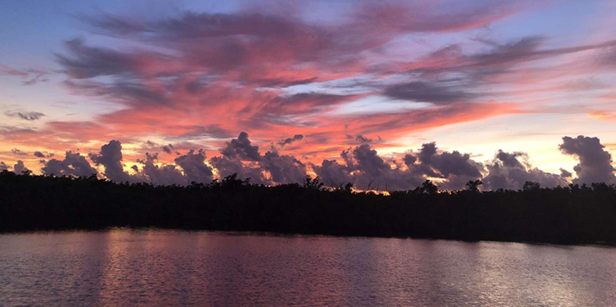 Panama City Dolphin Cruise at Sunset - Image 2