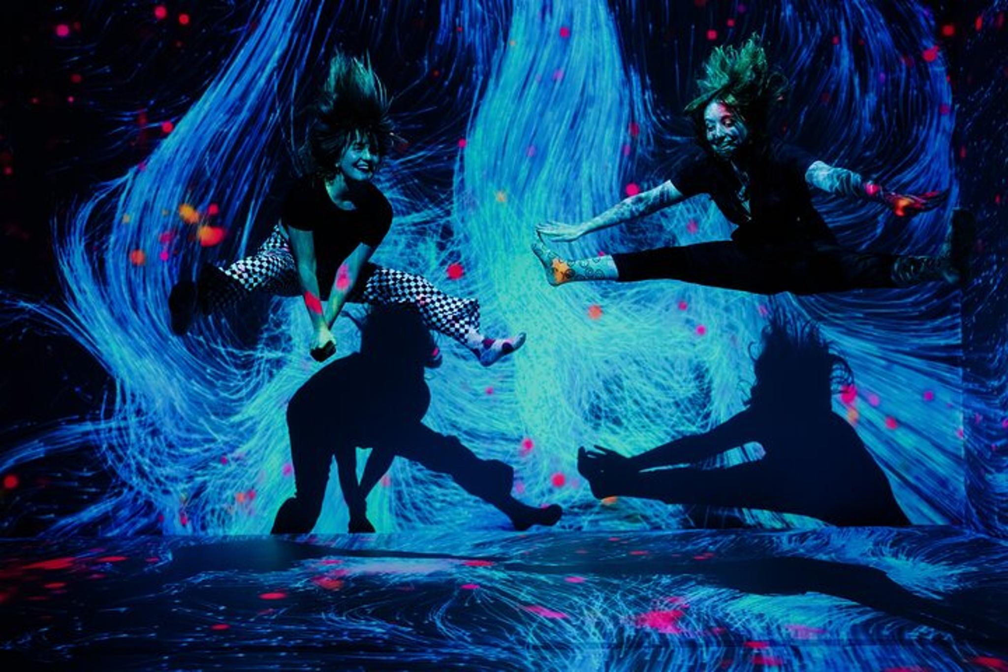 San Antonio Immersive Art Experience - Image 3