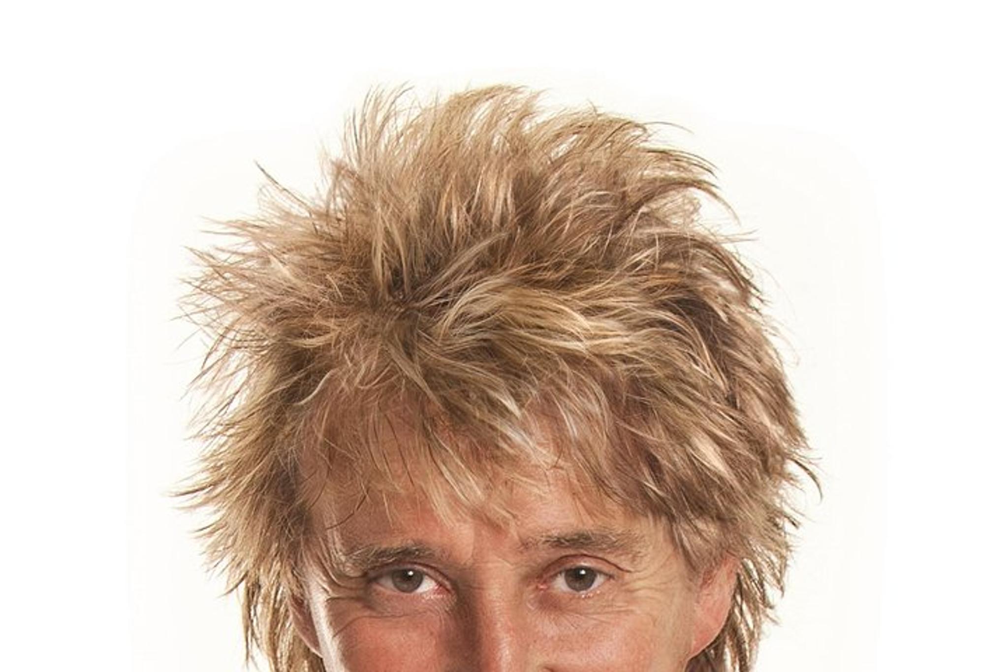 Las Vegas Rod Stewart Concert at Caesars Palace 90 min - Image 3