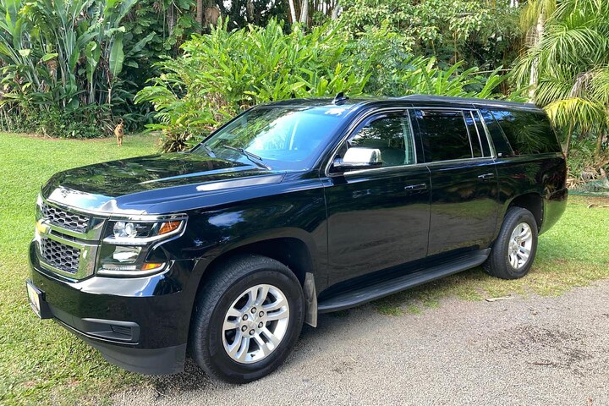 Kauai Cruise Ship Roundtrip Transfers - Image 2