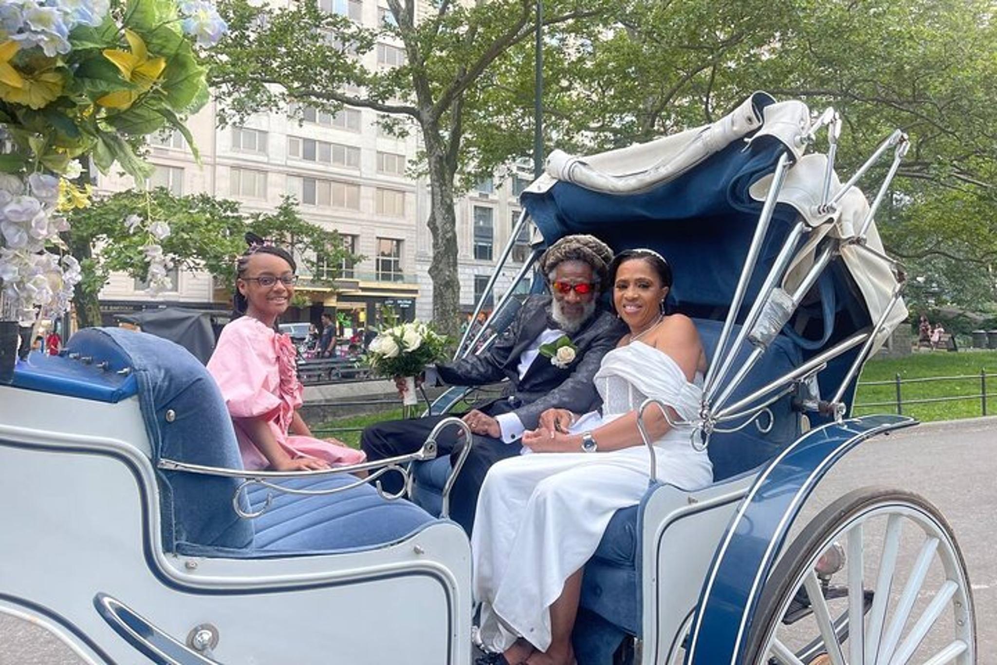 New York City Horse and Carriage Tour - Image 6