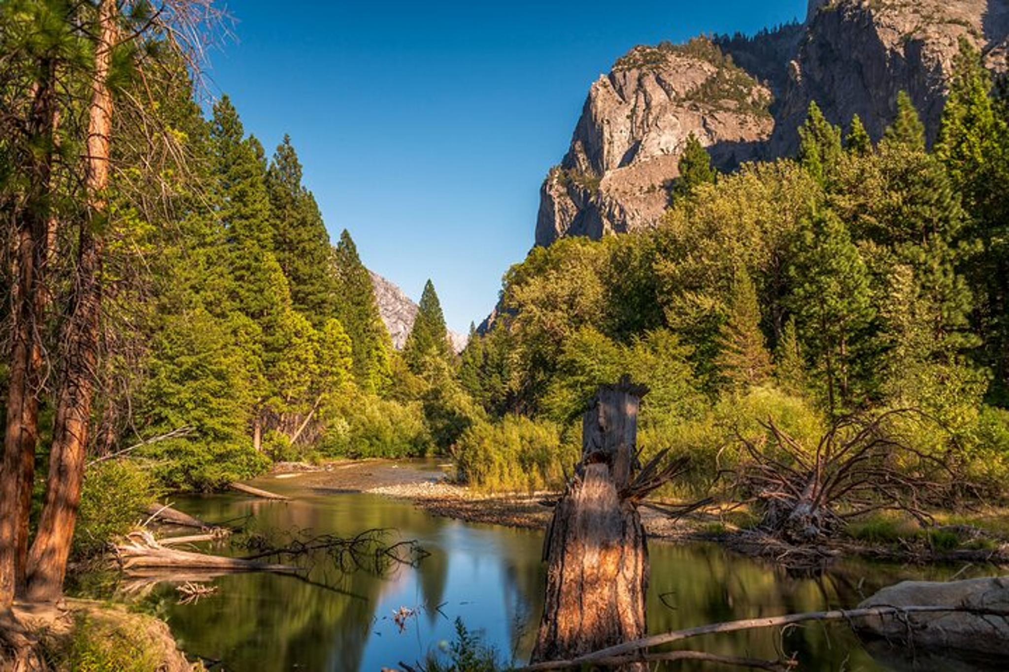 Kings Canyon Private Tour and Hike - Image 2