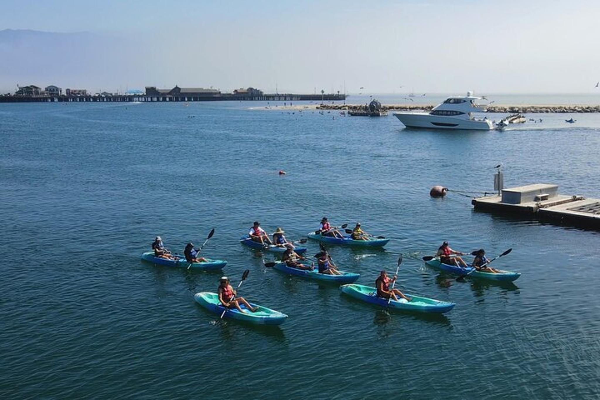 Santa Barbara Kayak Tour - Image 5