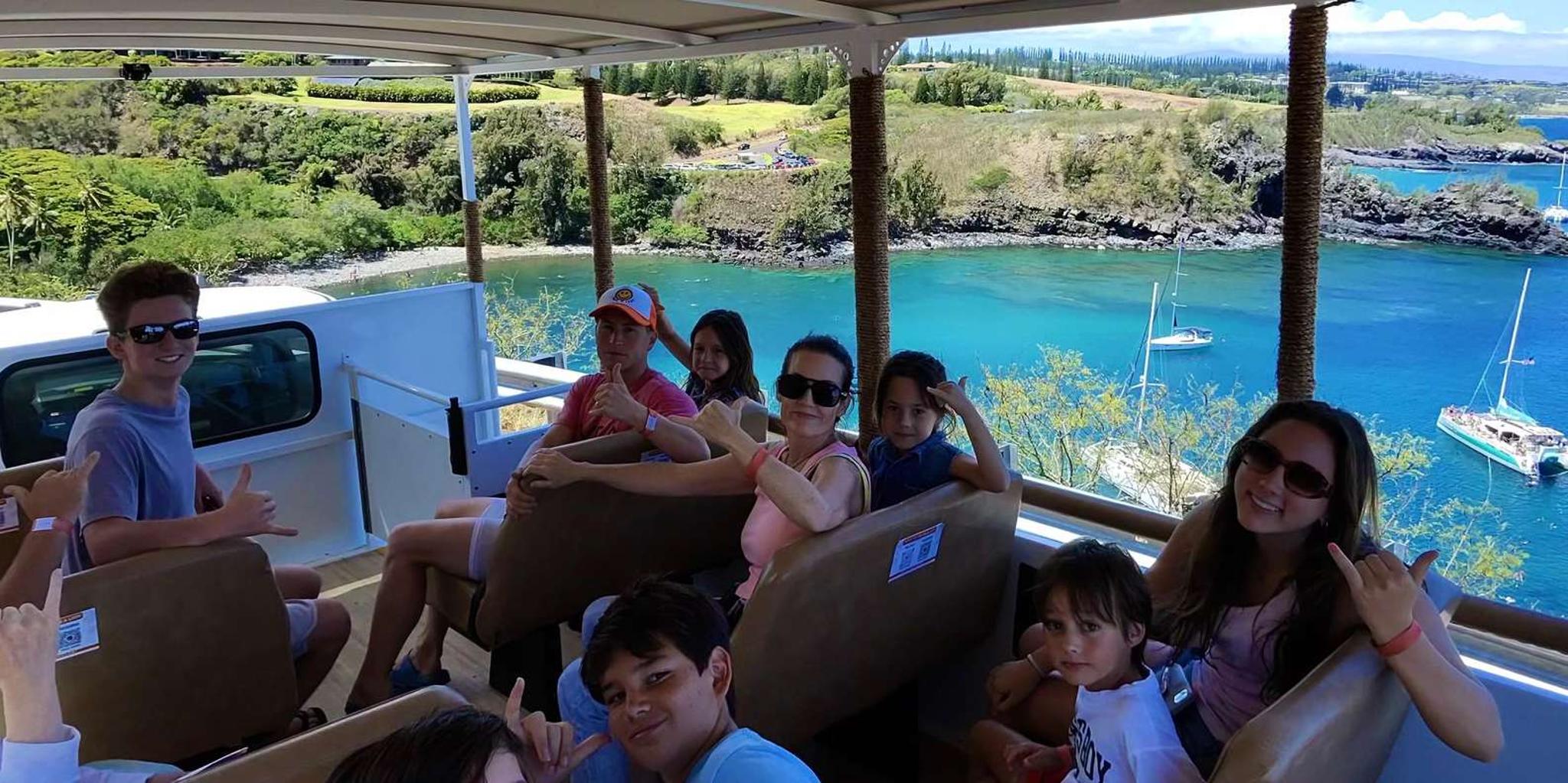 Maui Open-Air Highlights Tour from Kāʻanapali - Image 3