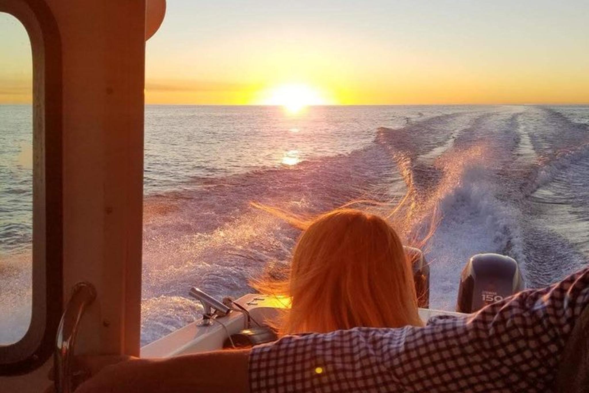 San Diego Wine and Cheese Boat Cruise - Image 3