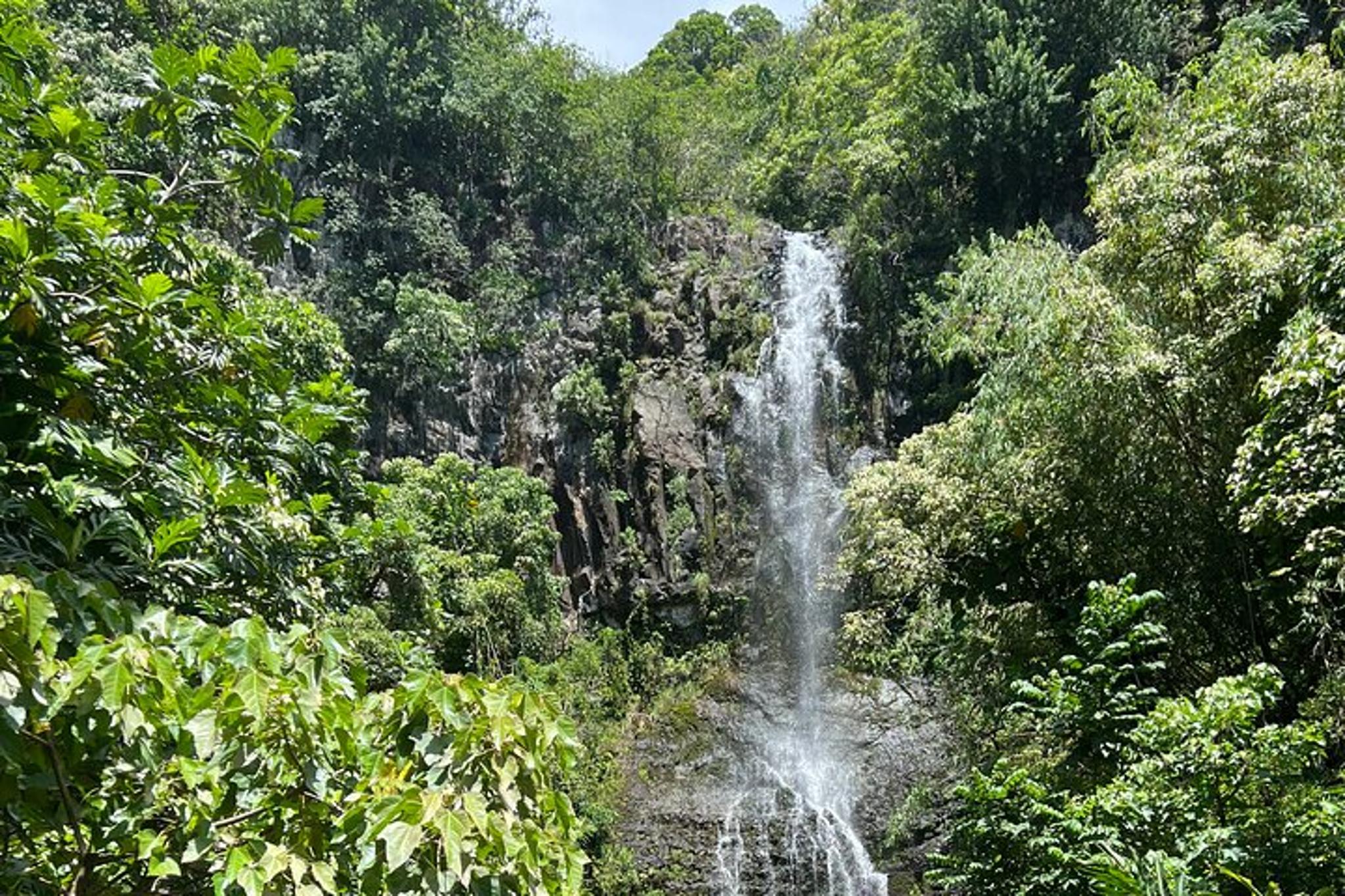 Maui Road to Hana Adventure with Brunch - Image 5