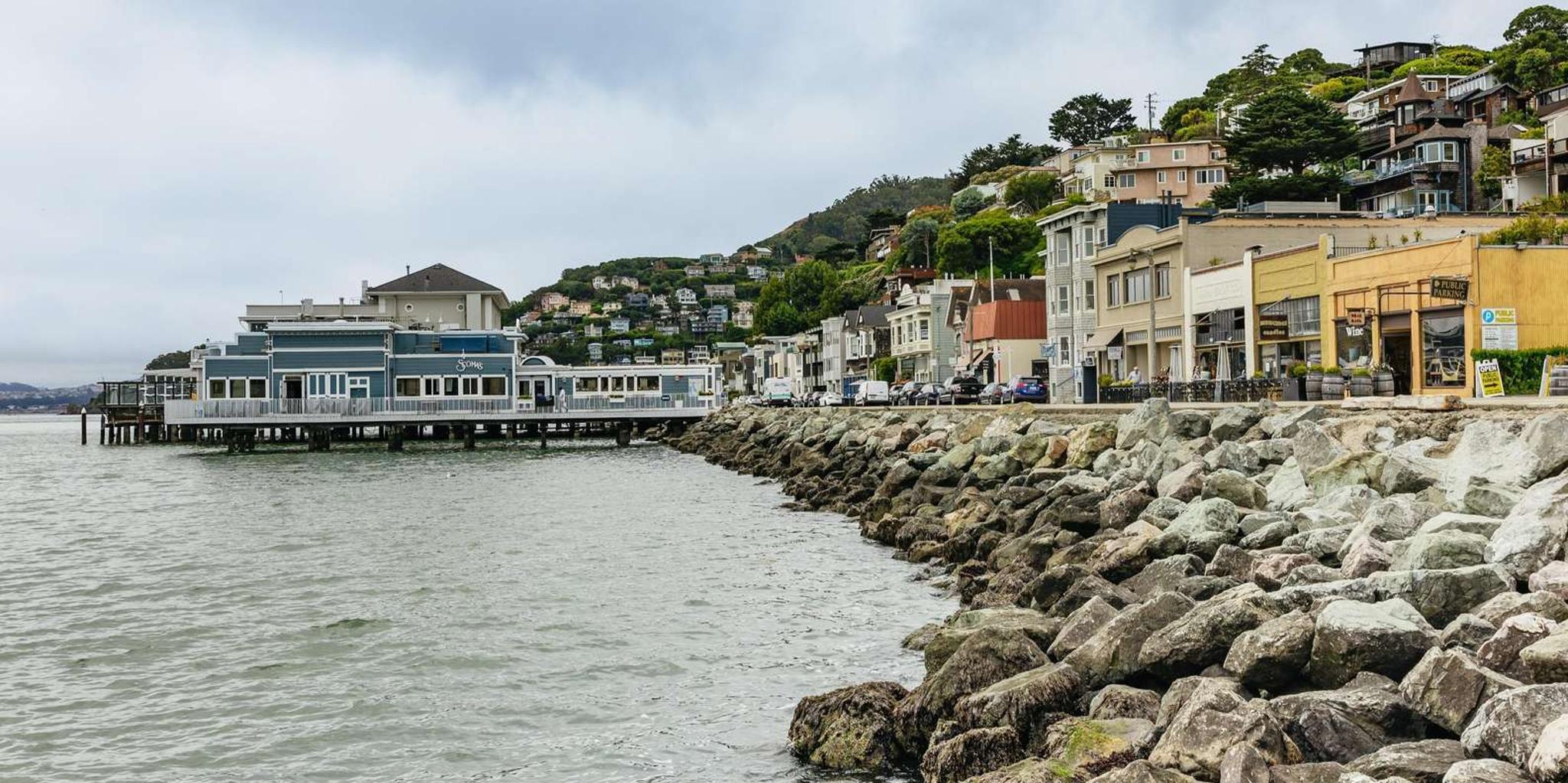 San Francisco Muir Woods and Sausalito Bay Cruise - Image 6