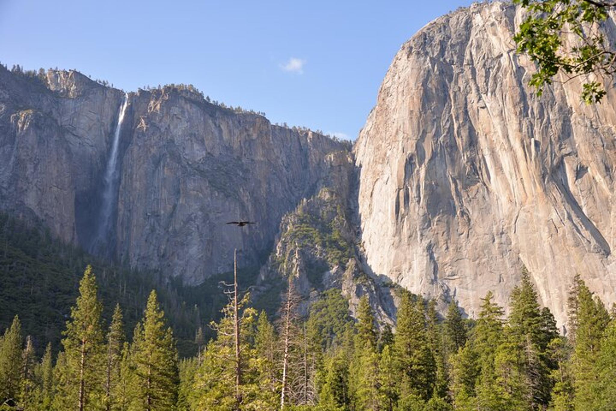 Yosemite National Park Private Tour 2 Days - Image 6